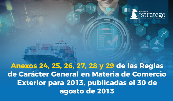 Anexos 24, 25, 26, 27, 28 y 29 de las Reglas de Carácter General en